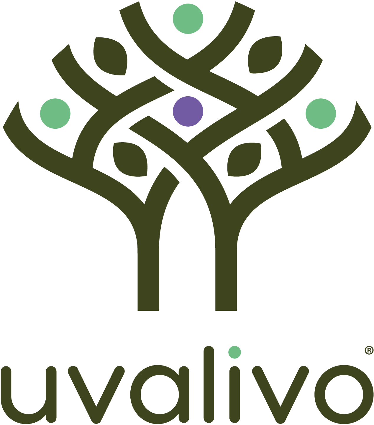 Uvalivo